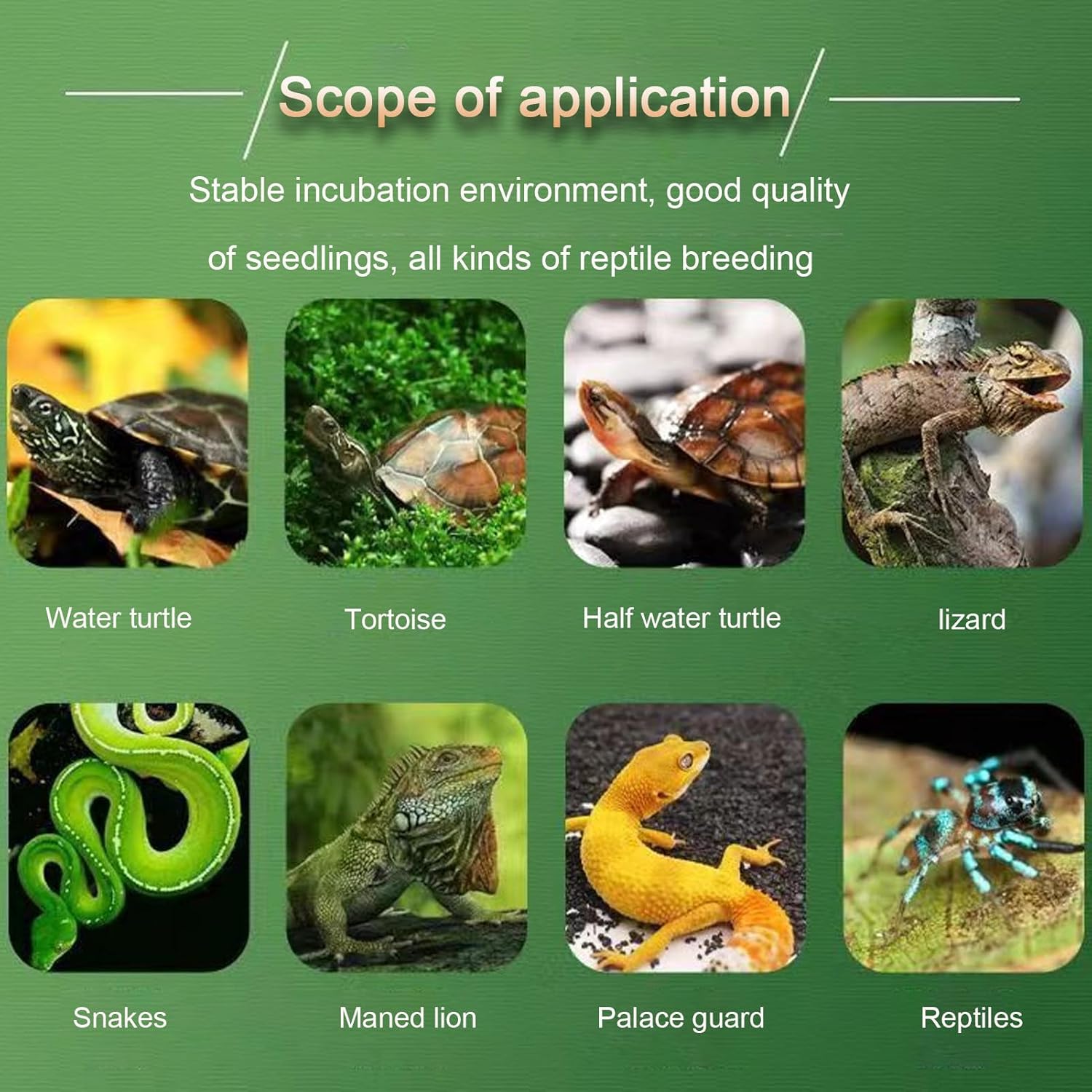 16L Portable Reptile Incubato, Chameleon Lizard Turtle Scientific Lab Incubator, Cooling and Heating 10°C-40°C Temperature Control & Digital LED, for Small Reptiles,48L