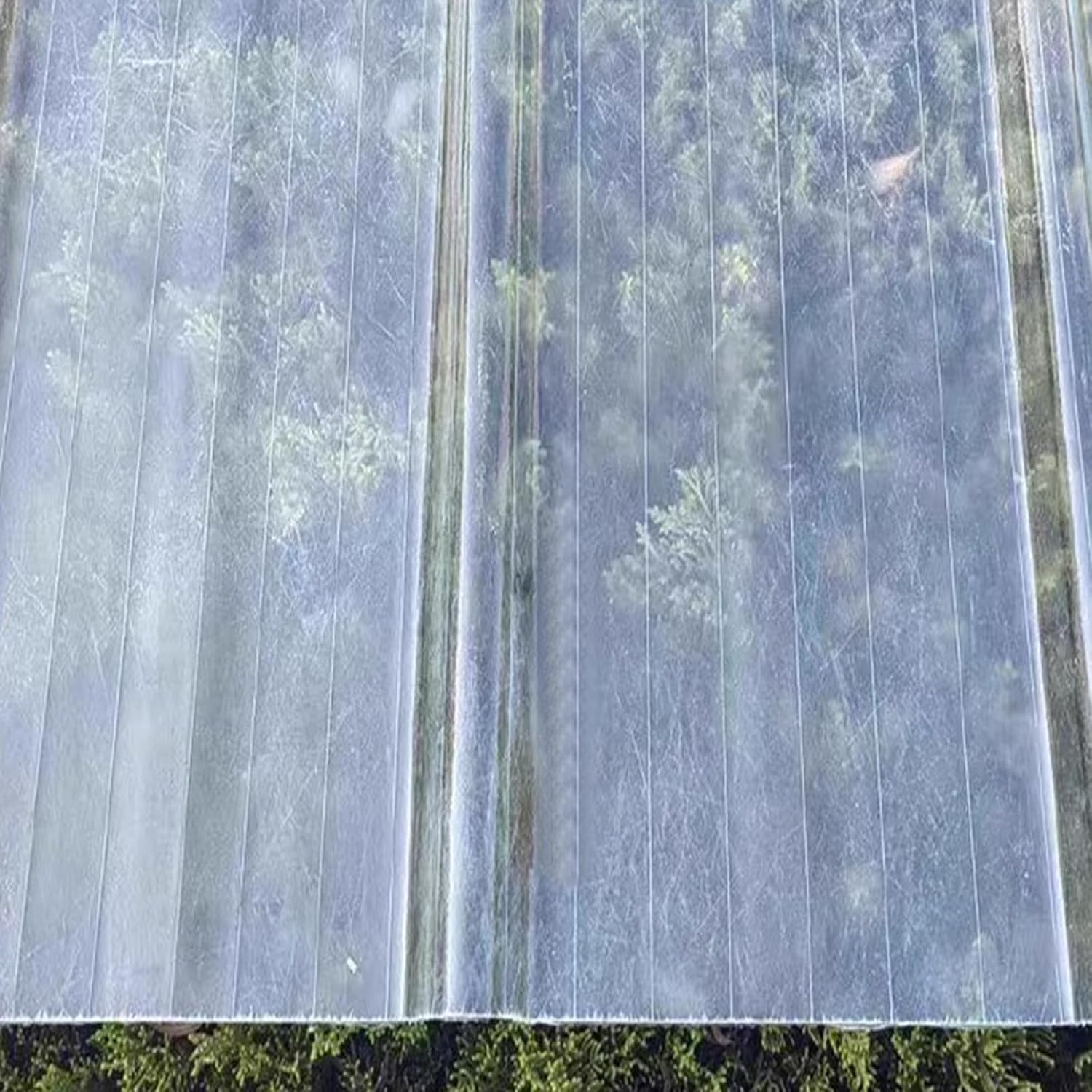 2mm Thick Clear Fiberglass Panels Weatherproof Sheds & Greenhouses for Garage, Carport & Garden Shed Clear Cladding with