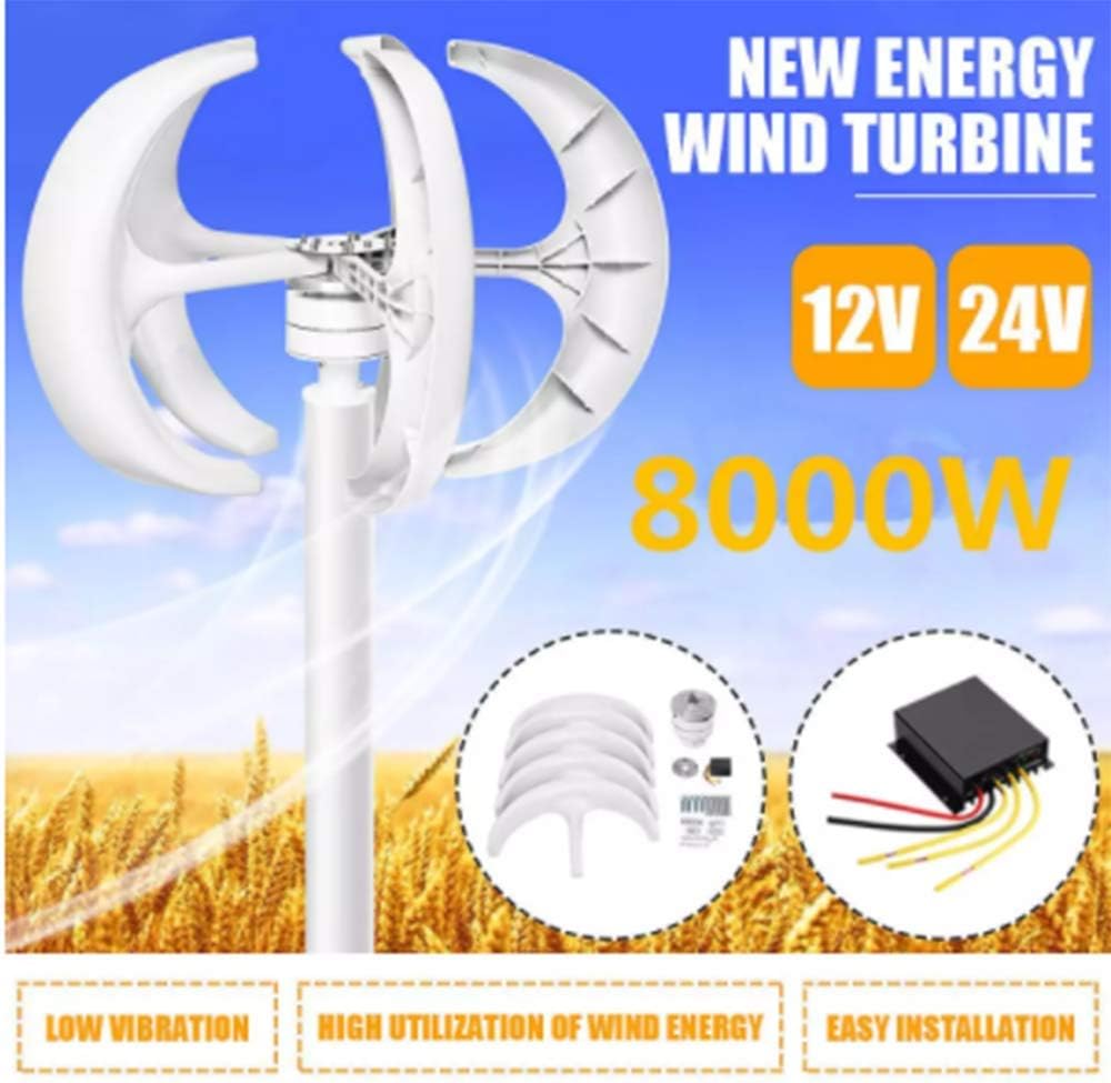 8000W 12V 24V 5 Blades Vertical Axis Wind Turbines Generator Lantern Motor Kit for Home Hybrids Streetlight Use Electromagnetic,24v