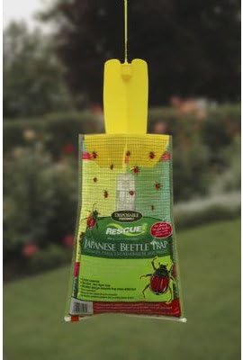 Sterling Intrntl Rescue Japanese Beetle Traps