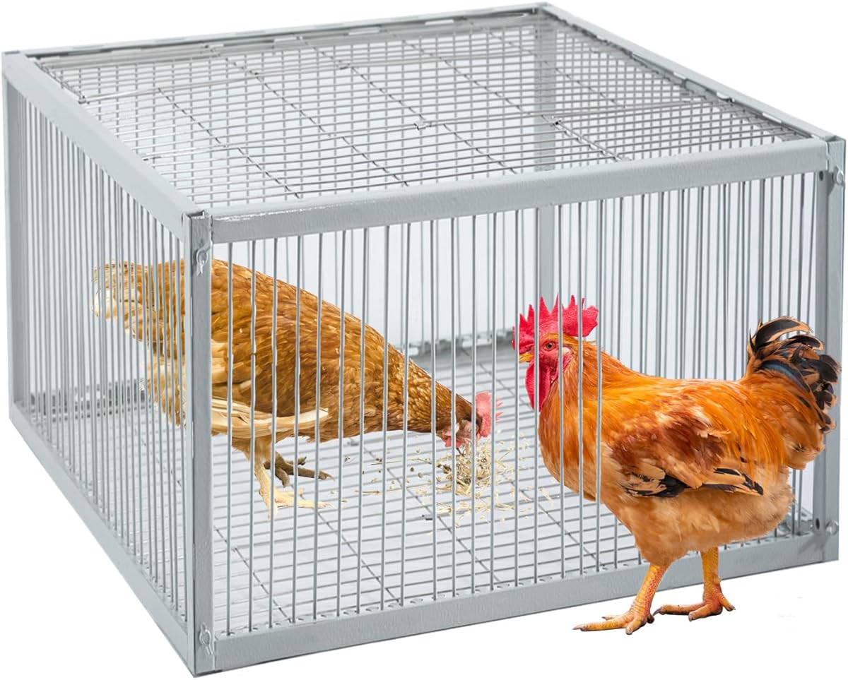 Chicken Trap with Escape-Proof Design, Birds Trap with One-Way Entry, Chicken, Duck, and Turkey Traps, Portable & Easy Assembly, Unharmful Made of High-Strength Iron with Anti-Rust Paint