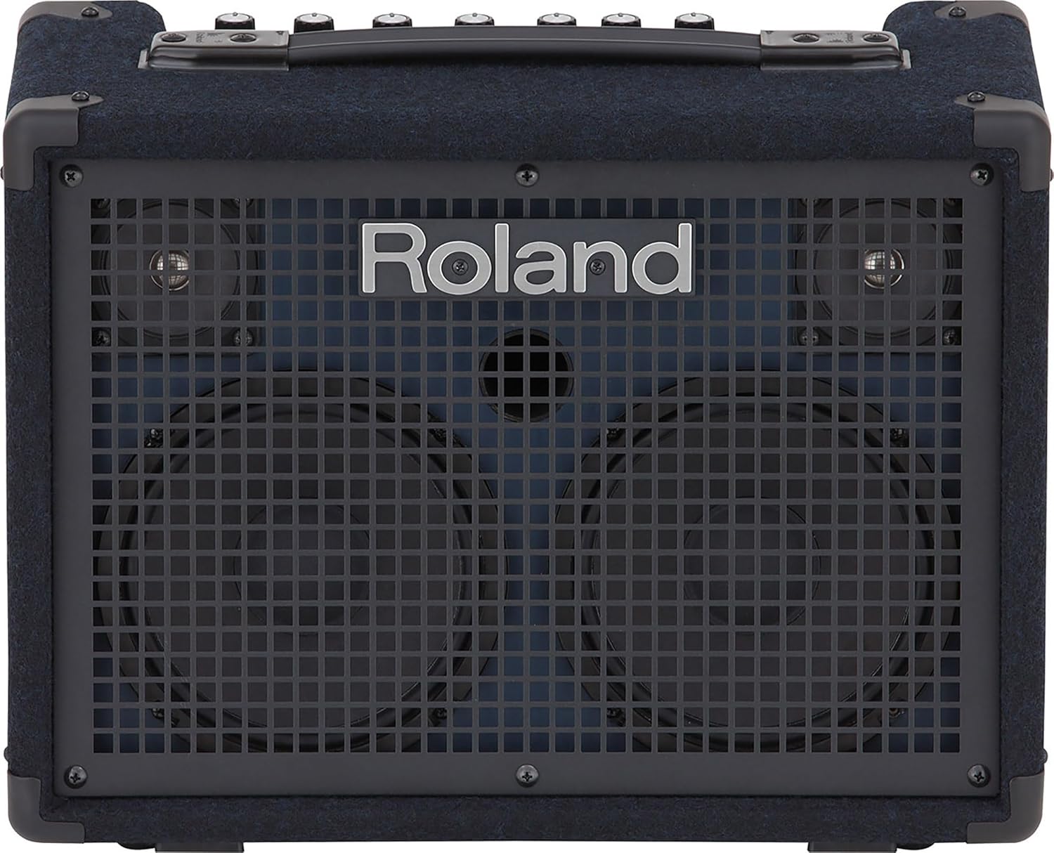 Roland KC-220 Battery-Powered Stereo Keyboard Amplifier Bundle with Gearlux Instrument Cable and Austin Bazaar Polishing Cloth