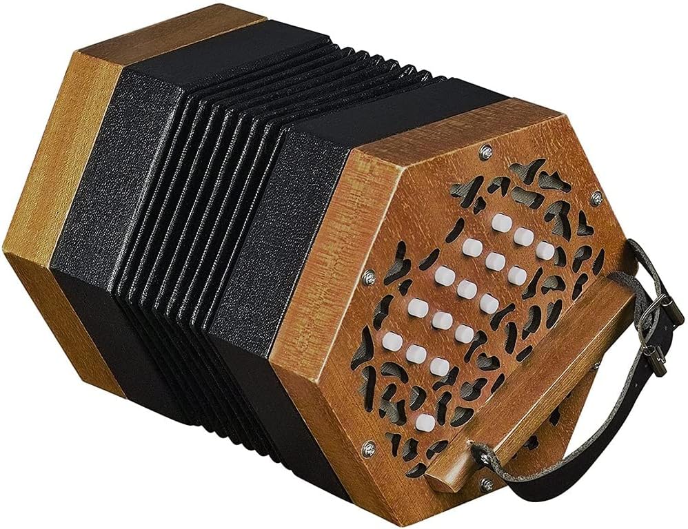 Professional Concertina Accordion, Hand Piano Accordion Music Instrument, With Carrying Bag, Adjustable Hand Strap, Musical Instrument For Adults Beginners