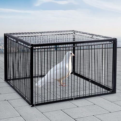 Pigeon Cage with Escape-Proof Design, Portable Pigeon Coop with One-Way Entry, Bird Trap for Chicken, Pheasant, Wild Duck, Easy Assembly