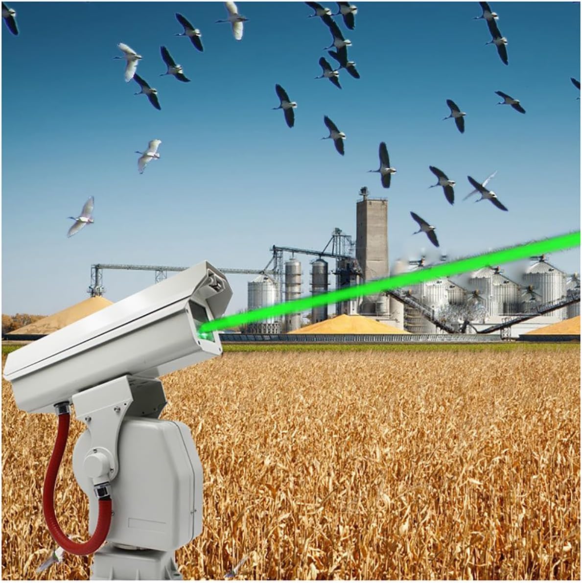 Automatic Bird Repeller 1W/2W Optional 360° Rotation Anti-Bird Devices Through Intelligent AI App for Airport, Farmland 1W