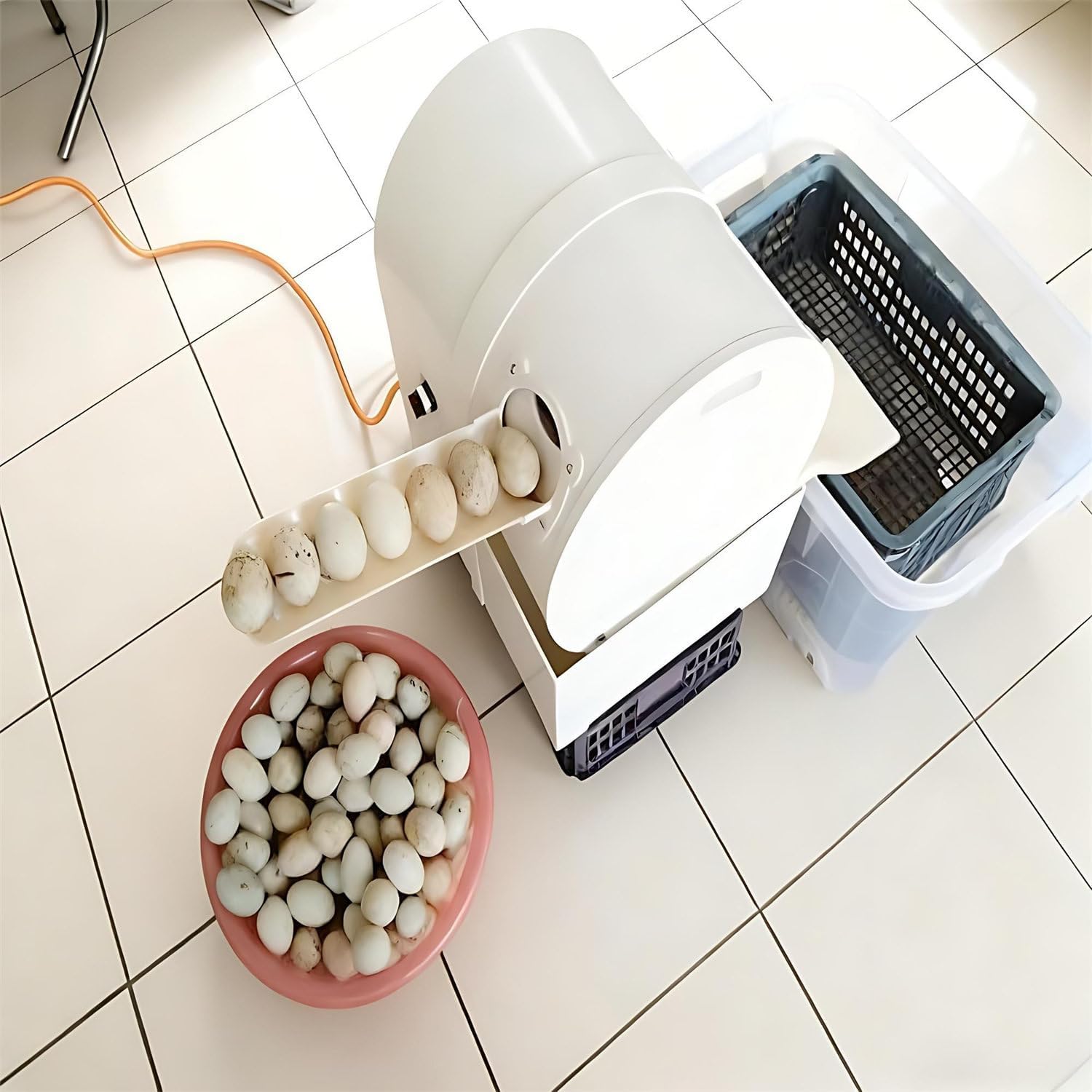 Automatic Egg Washer, Commercial Egg Cleaner System, 2,300 Eggs/H Chicken Duck Goose Egg Brushing Machine, Compact Egg Cleaning Brush Machine Tool