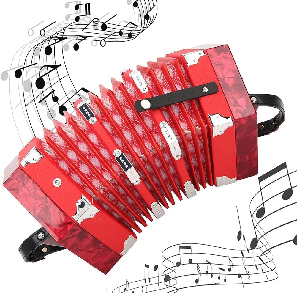 Piano Accordion 30 Keys, Professional 30 Buttons Accordion Concertina Musical Instrument, with Carrying Bag, Excellent Gift for Children Friends