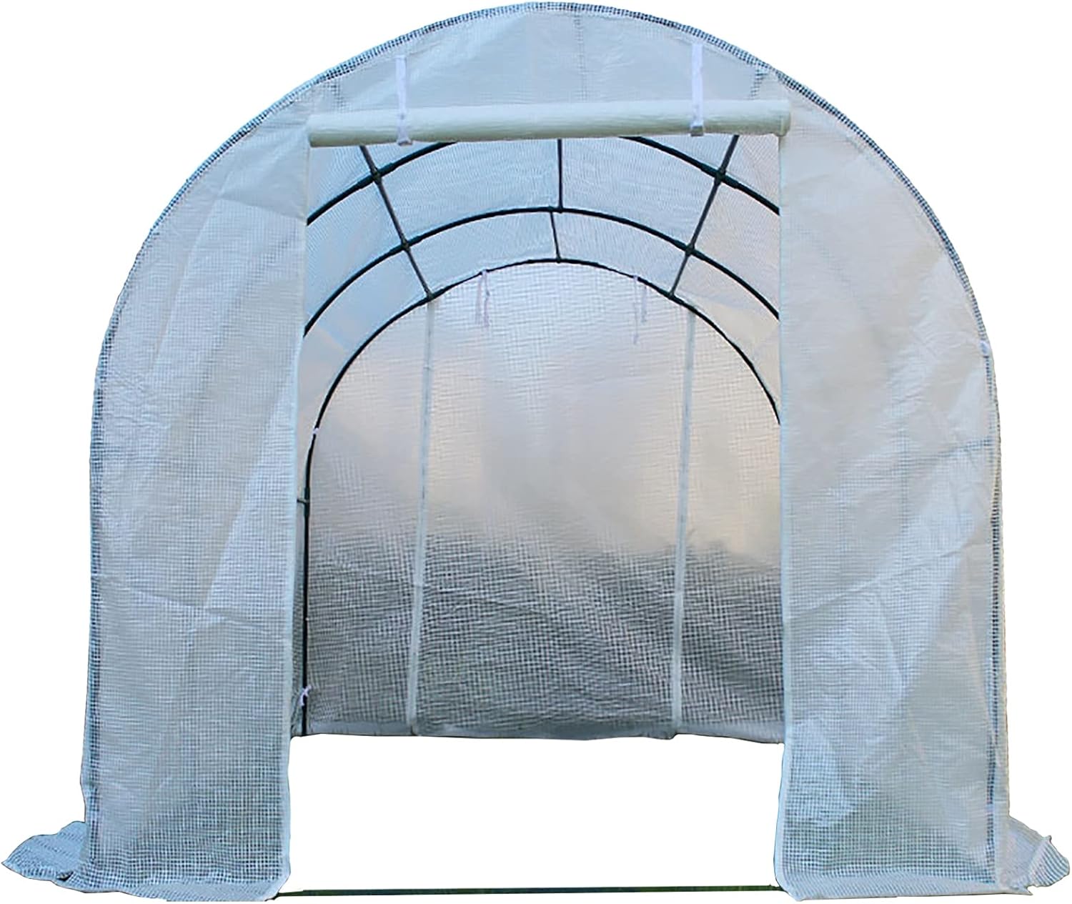 Extra Large Greenhouse 3m×2m×2m, Walk-in Green House with Roll-up Door and Windows, Tunnel Gardening Rack for Garden/Courtyard