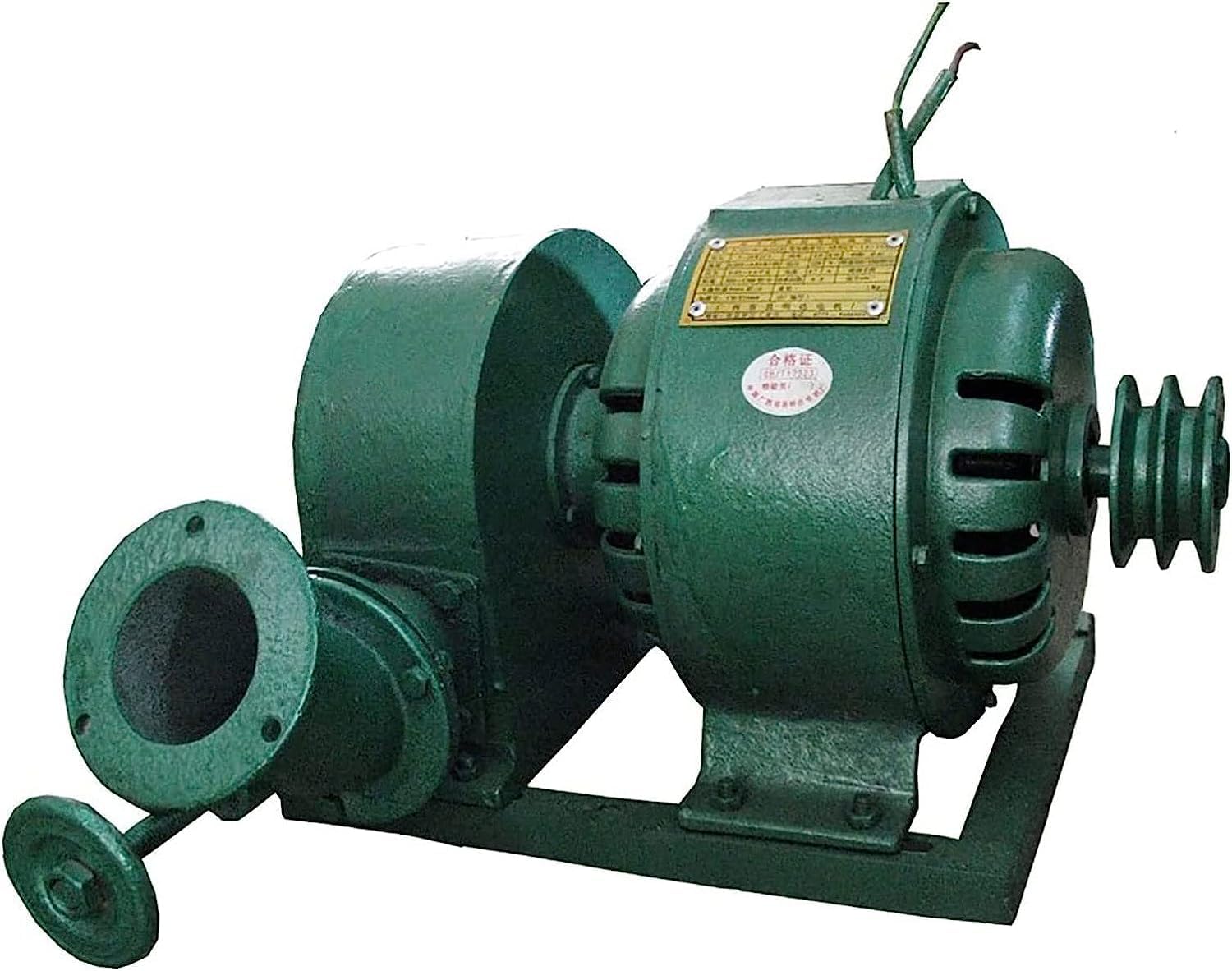 CAJUCA Hydroelectric Power Generator 1KW Water Turbine Generator Water Wheel Generator, Hydro Generator, Micro Hydro Turbine