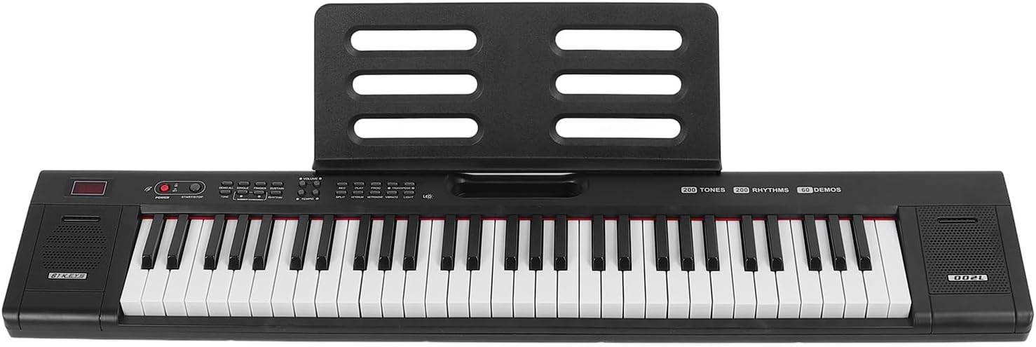 61 Key Digital Piano Keyboard, Digital Piano with Rich Tones and Rhythms Portable Lighting Electronic Keyboard for Learning (US Plug