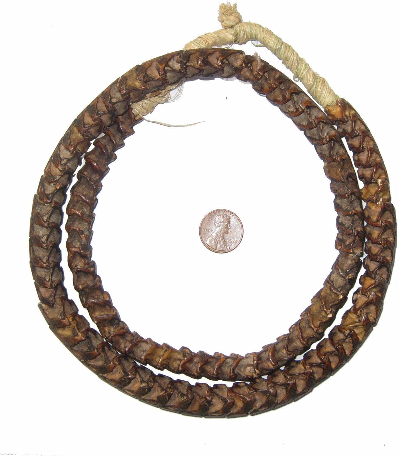 The Bead Chest Real Snake Vertebrae Beads from Africa Large 14mm Nigeria African Brown Interlocking Bone Large Hole 32-34 Inch Strand Handmade