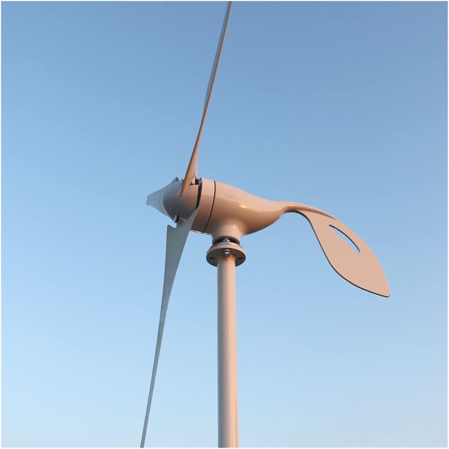 Wind Turbine AC 12V 24V Wind Turbine Generator Max 850W Wind Turbine Generator 800W Horizontal Wind Turbine With 12v 24v PWM Or MPPT Controller (Color : PWM Controller, Size : 3_12V_800W)
