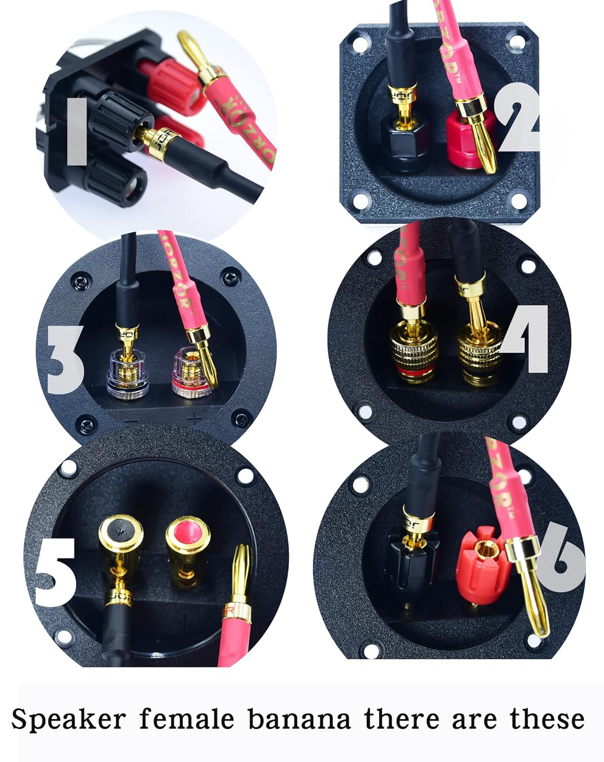 Arklove 30ft 2packs 13awg Speaker Cable Premium Heavy Duty Braided Wire Dual Banana 2 Plug to 4 Banana Male Plugs Frequency Division 2 Banana Plugs - 4 Banana Plugs 1pair