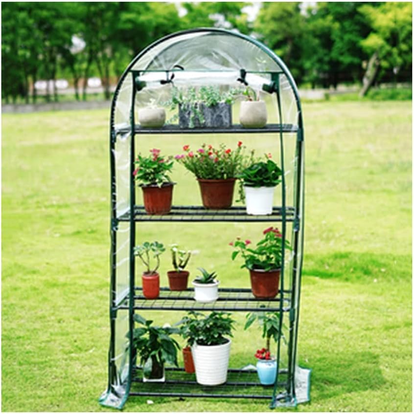GDMING Green Houses for Outdoor, Compact Mini Greenhouse Garden Flower Shelter Reinforced PVC Plastic Cover Gardening Tent with Steel Frame Plant Grow House Promote Plant Growth