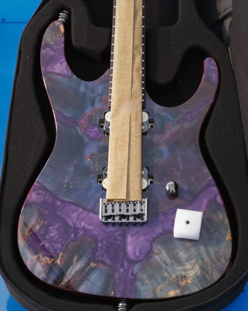 Leo Jaymz Electric Guitar Monsoon Deluxe See What You Get Series, Mahogany Body, Roasted Maple Neck, Rosewood Fretboard, Locking Tuners, Rounded Frets, Case (VC-0004-068)