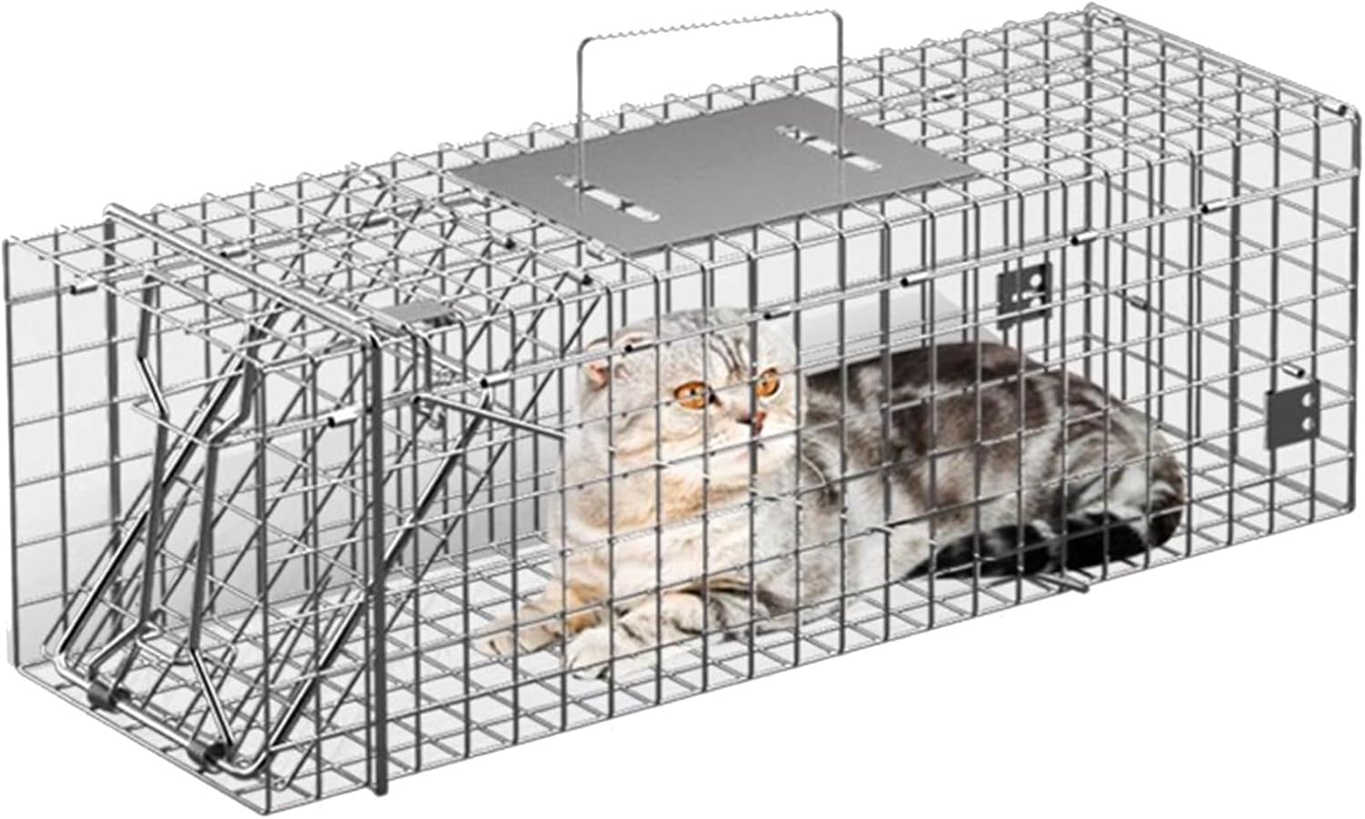 32 Inch Folding Live Animal Cage Trap Squirrel, Cat Trap for Stray Cats Large Humane Rodent Cage (1-13kg) for Rabbits, Raccoons, Gopher(Silver)