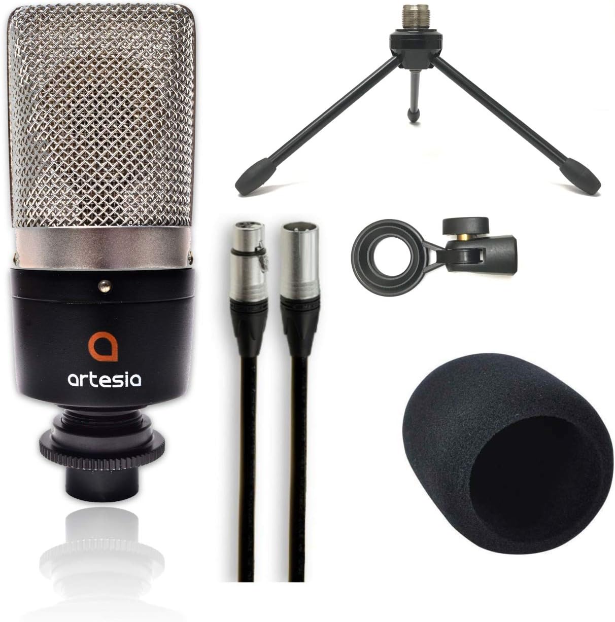 Artesia ARB-6 Backpack Recording Studio Bundle w/Xkey 25-key MIDI Keyboard & Case + Professional 24-bit USB Audio Interface + Studio Monitor Headphones + Cardioid Condenser Microphone + Backpack