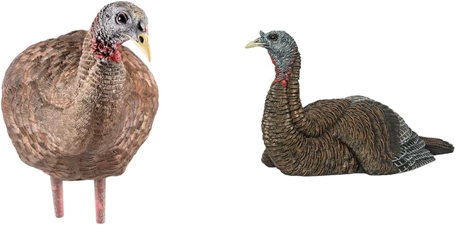 Avian-X LCD Breeder & Laydown Hen Turkey Hunting Decoys with Carry Bags & Stakes, Realistic Detail, Easy Transport, AVX8008 & AVX8011