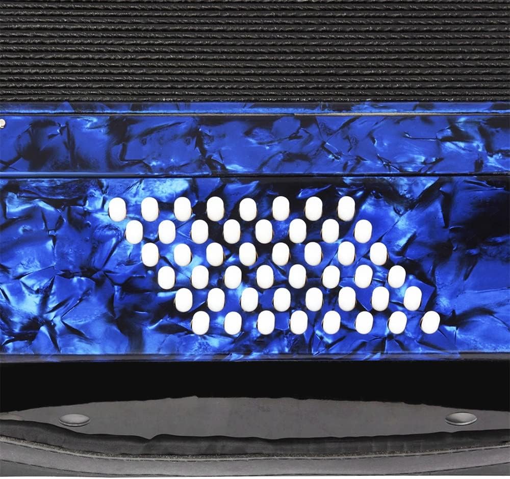 26 Keys 48 Bass Piano Accordion, with Strap and Accordion Backpack, Musical Instrument for Home Classroom, Fascinating & Softer (Color : Blue)