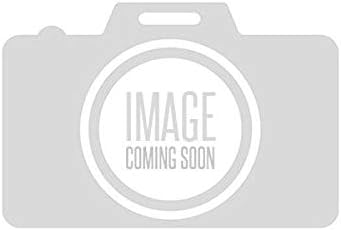 ACDelco Amplifier Assembly - 84304855