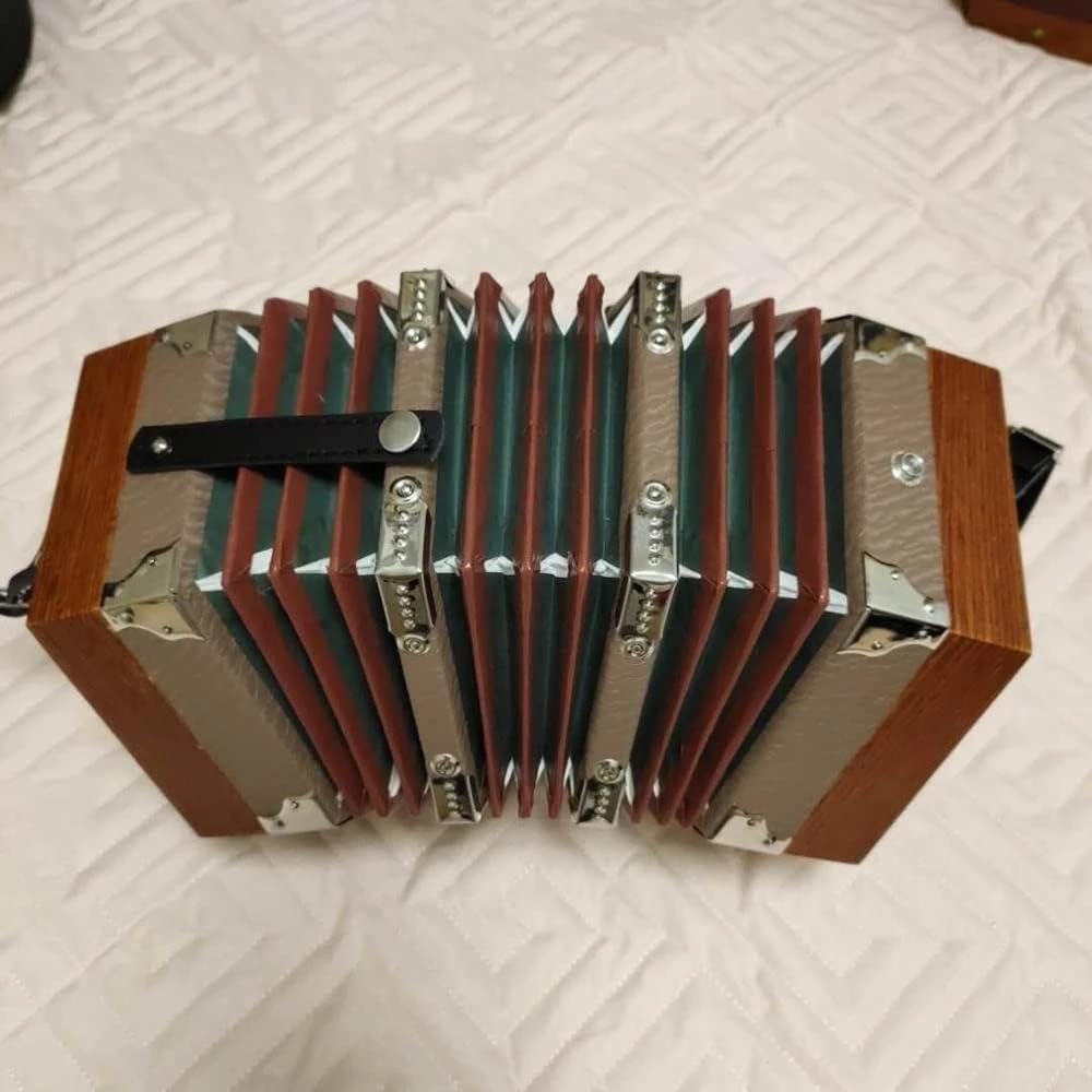 Professional 20 Buttons Piano Accordion Concertina Musical Instrument, Gift for Children and Friends