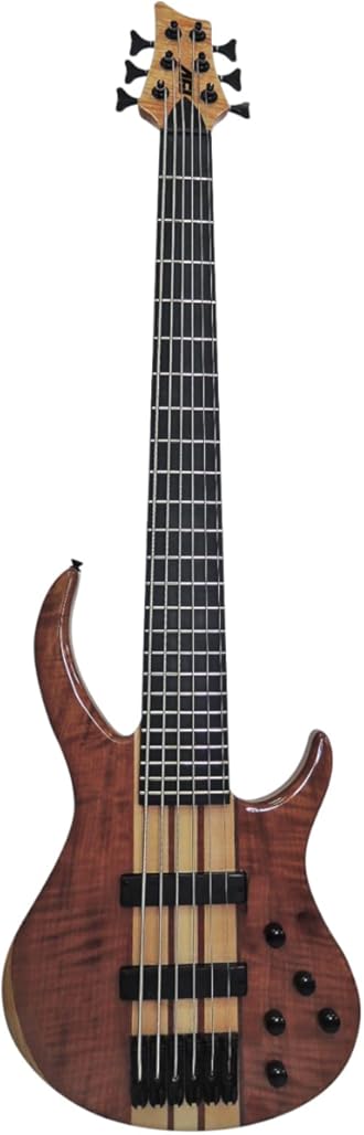 IYV IBSY-600 Neck-through Sycamore top Multi-ply 6-string Bass