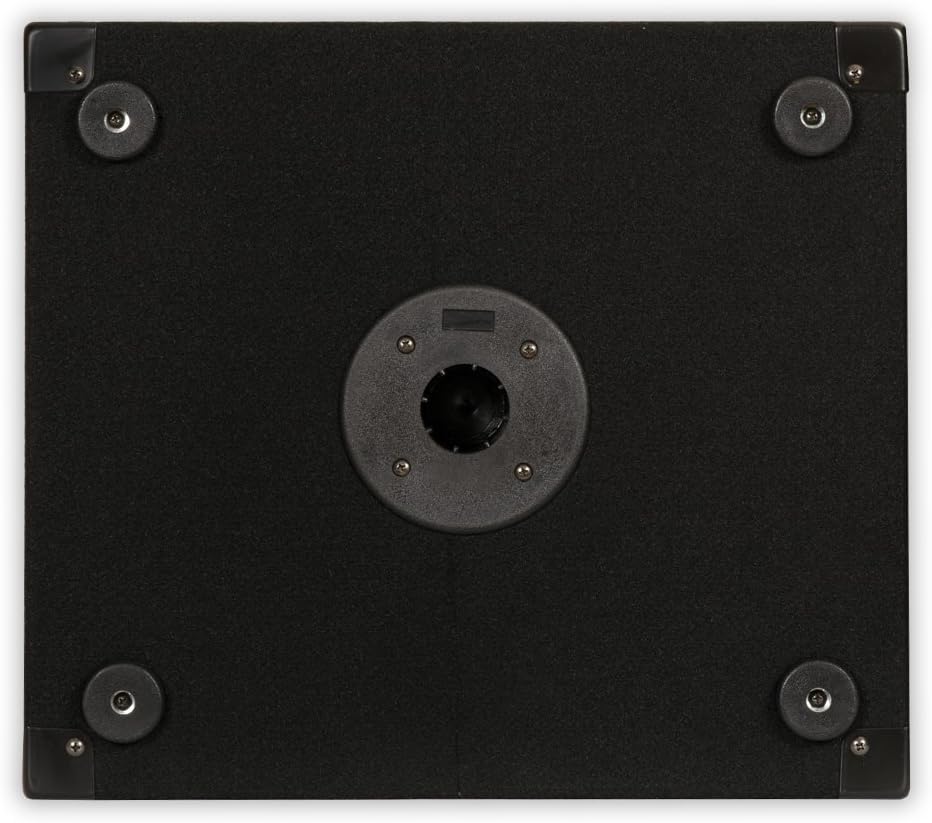 Acoustic Audio BR12 Professional DJ 12