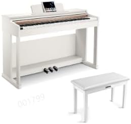 Donner DDP-100 88-Key Weighted Action Digital Piano+ Donner Duet Piano Bench with Storage