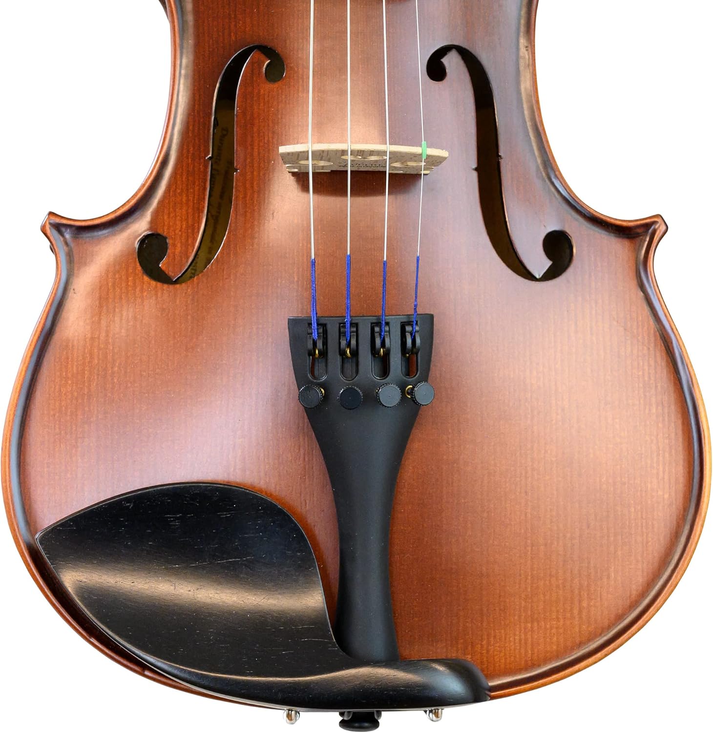 Antonio Giuliani Etude Violin Outfit 4/4 Full Size Clearance By Kennedy Violins - Carrying Case and Accessories Included - Solid Maple Wood and Ebony Fittings AG360