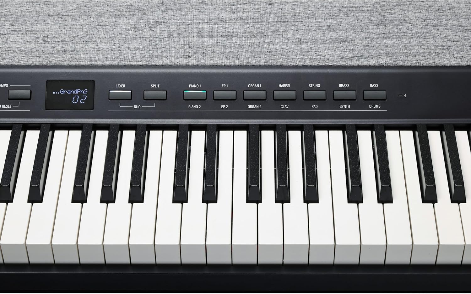 Kurzweil KaP1-88-Key Fully-Weighted Hammer Action Portable Digital Piano with 28 Flagship Voices + Power Supply + Sustain Pedal + ST-C1 Chrome Stand (Black)