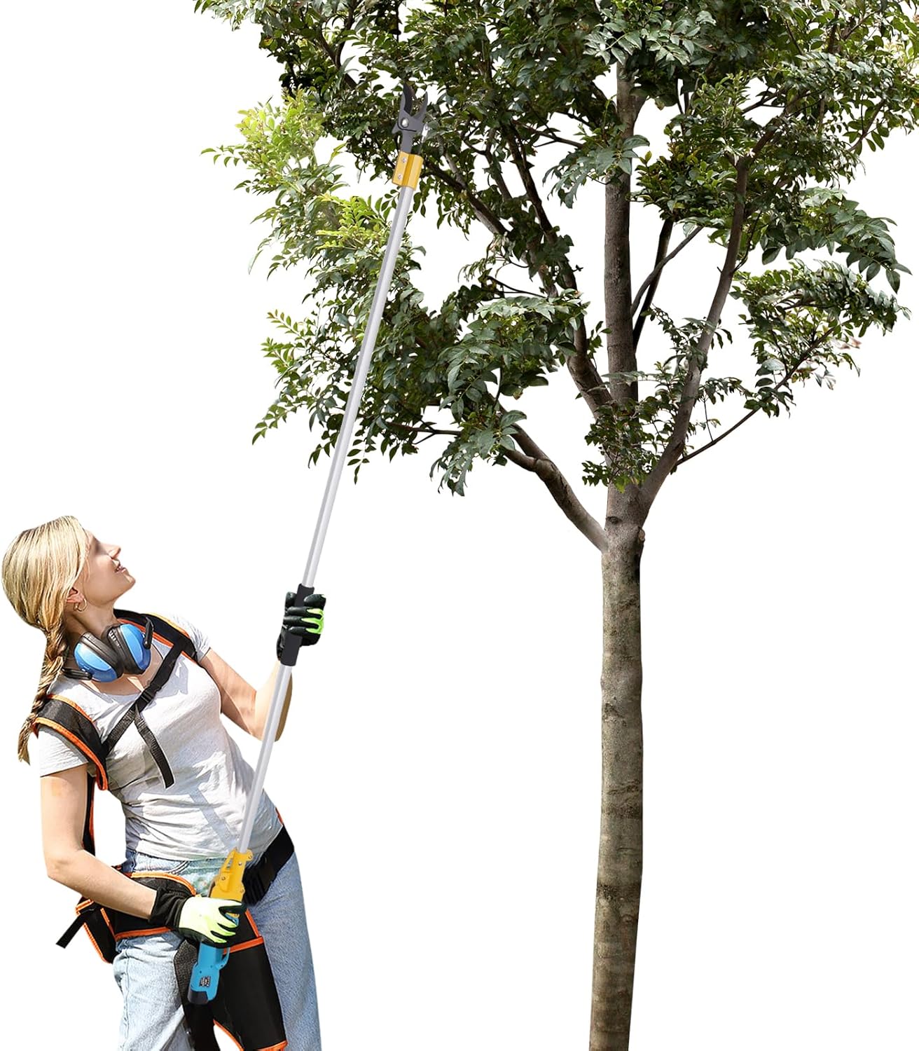 Cordless Electric Pruning Shears, Electric Pruner with Extension Pole,2 Spare 2.0ah Lithium Batteries,1.1Inch Cutting Diameter