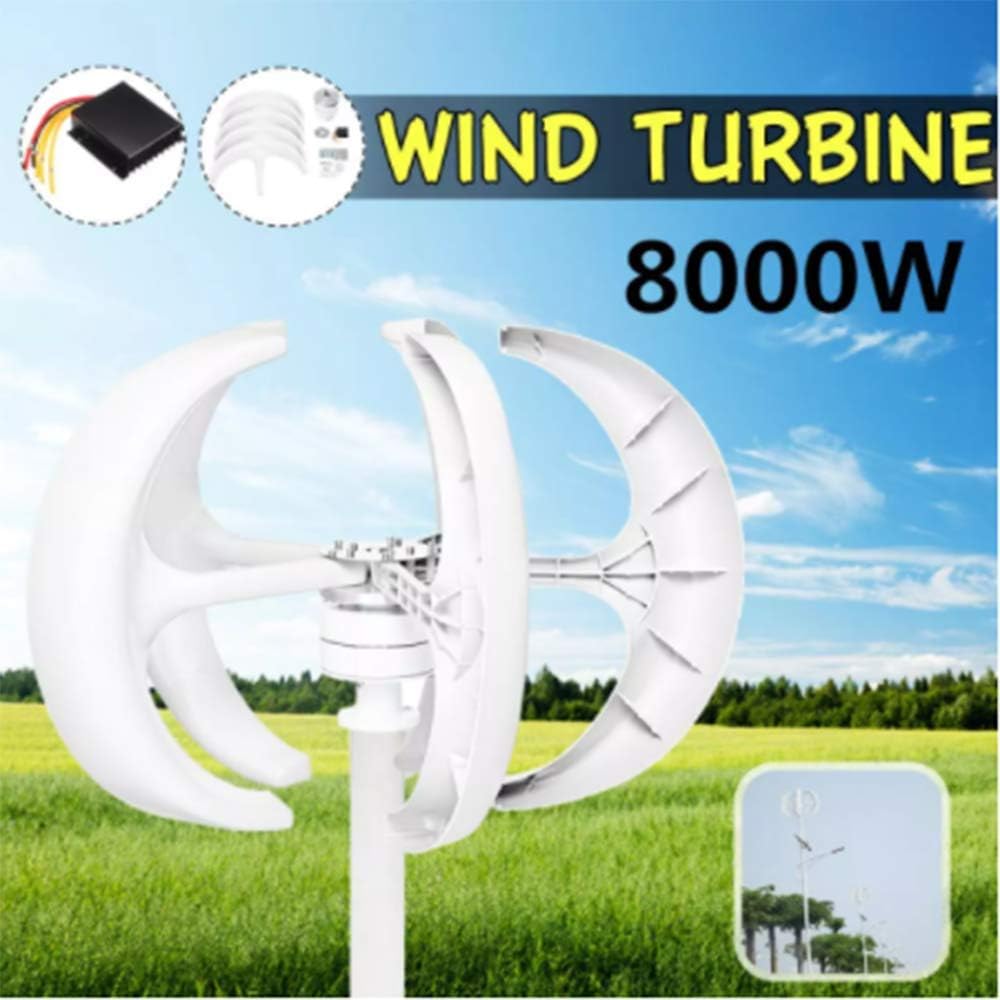 8000W 12V 24V 5 Blades Vertical Axis Wind Turbines Generator Lantern Motor Kit for Home Hybrids Streetlight Use Electromagnetic,24v