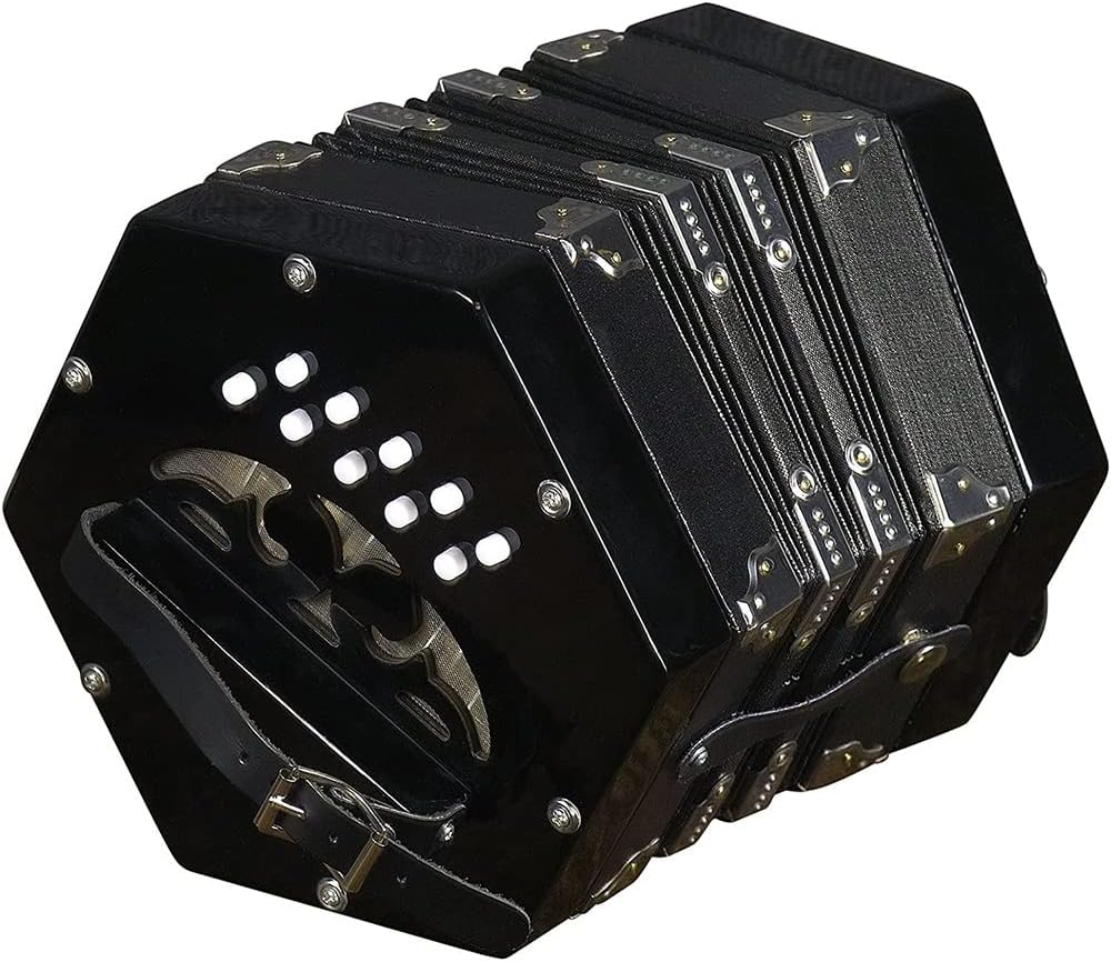 Concertina Accordion 20-Button, for Adults Musical Instrument, Easy to Learn Music Accordion Instrument