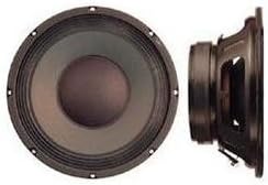10 in. Bass Guitar Speaker