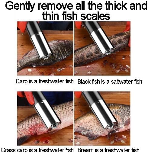 Electric Fish Descaler, 7000RPM High-Power Scale Remover Machine with Blades, for Home & Professional Use, 360cm Cable