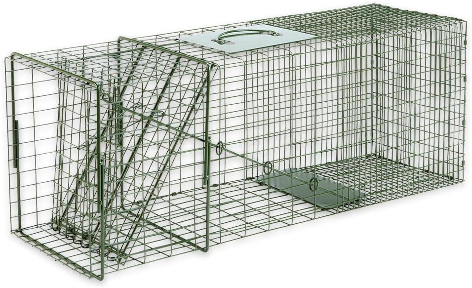 Duke Traps Raccoon Cage Trap