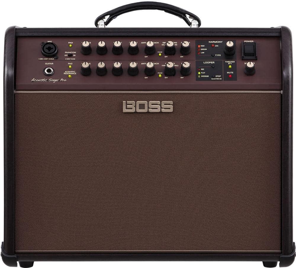 Boss Acoustic Singer Pro 120-Watt Bi-Amp Acoustic Combo with FX and Boss FS-6 Dual Foot Switch