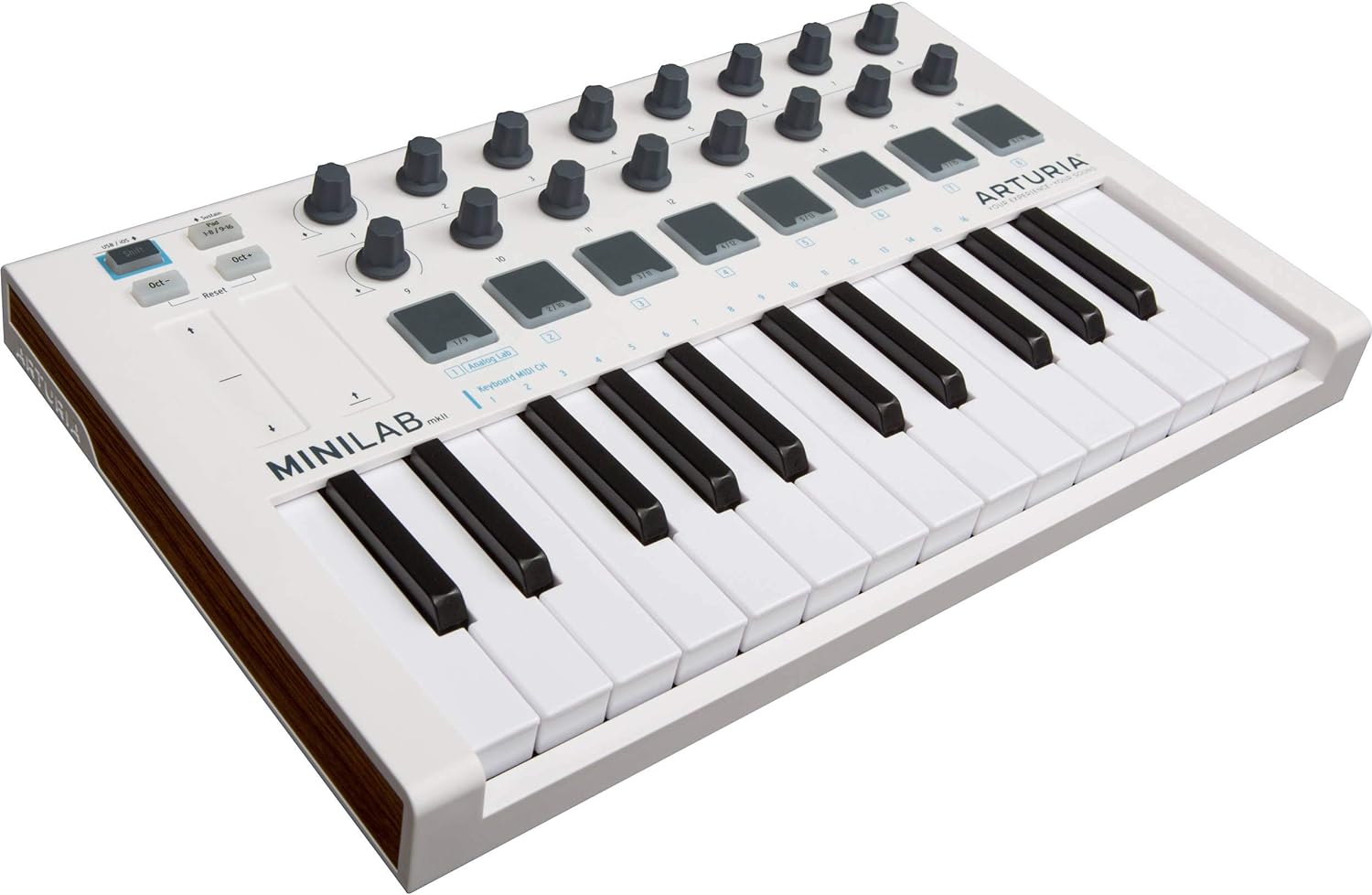 Arturia - MiniLab MkII - Portable MIDI Controller for Music Production, with All-in-One Software Package - 25 Keys, 8 Multi-Color Pads
