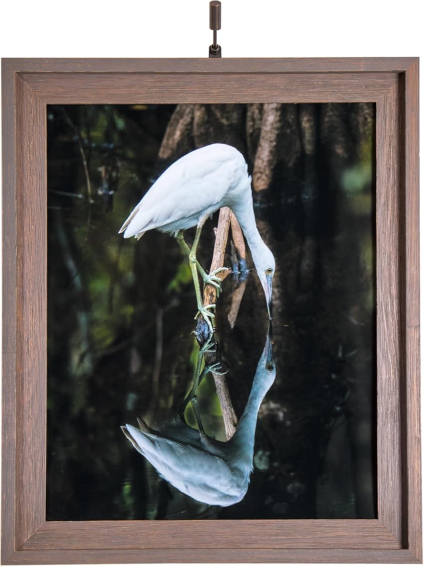 Situ Lighting: Cordless and Rechargeable LED Art and Picture Light - Rechargeable Micro Series - 3000K - USA Made.