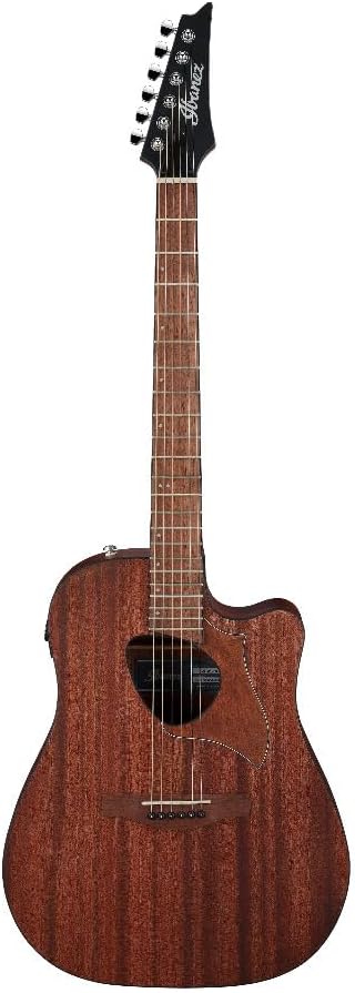 Ibanez ALT20 Altstar Acoustic-Electric Guitar (Open Pore Natural)