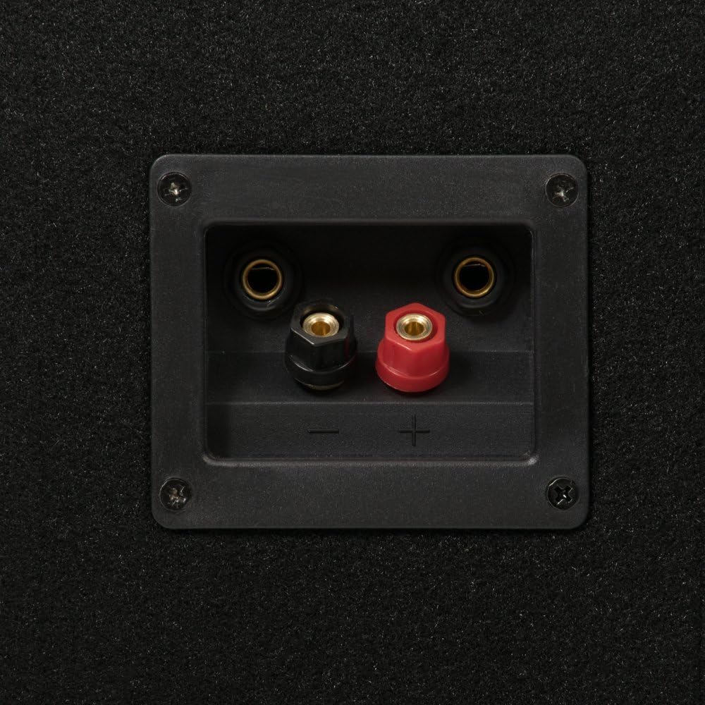 Acoustic Audio by Goldwood Live Sound Monitor (PA-365X) , Black