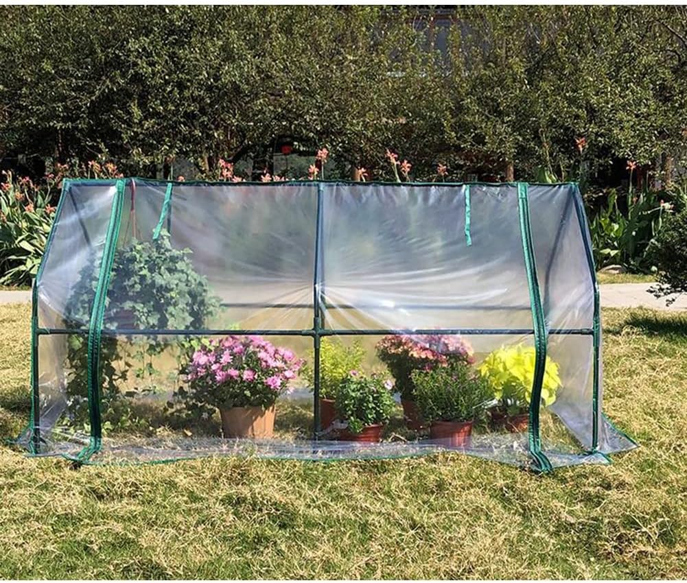 GDMING Tunnel Greenhouse, Removable Plant Greenhouse UV-Resistant Waterproof PVC Cover Sturdy Steel Frame Plant Insulation Shed for Grow Vegetables and Flowers (Color : Clear, Size : 180x88x91cm)