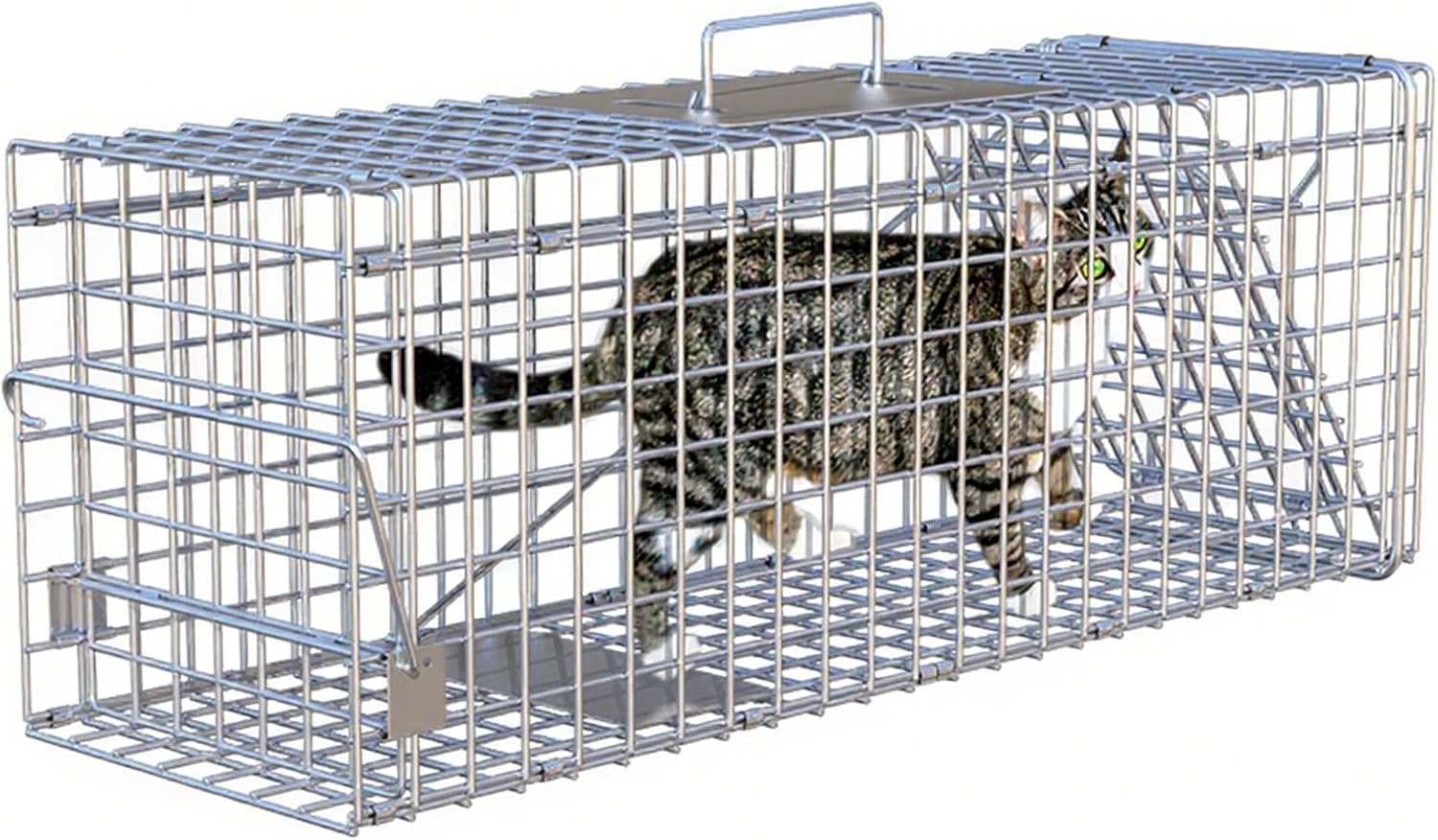 Live Animal Cage Trap Racoon, Foldable Galvanized Iron Cat Trap for Stray Cats Humane Kittens for Raccoons, Feral Cats, Squirrels, Groundhog(66 * 23 * 26cm)