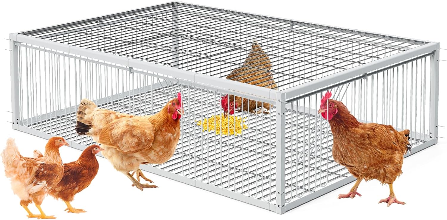 Trap Cage Chicken Trap with Escape-Proof Pigeon Bird Traps for Small Birds Folding One-Way Entrance Trapping for Chicks Duckling Quail Doves (35.5