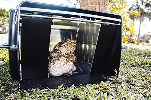 Cane Toad Catcher Trap - Humanely Protect Your Pets from Poisonous Cane Toads