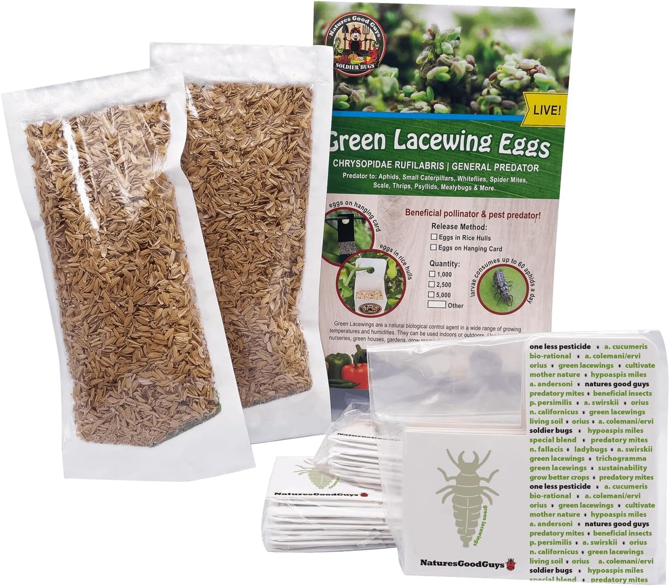NaturesGoodGuys Green Lacewing 50,000 Eggs