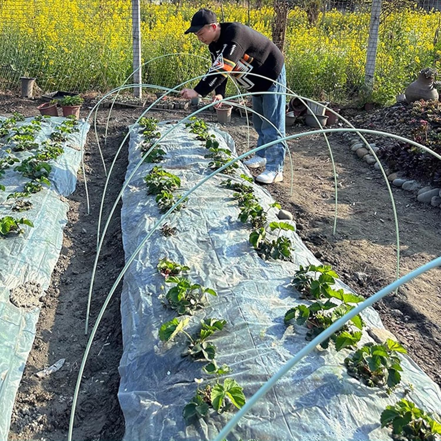 Solid Mini-greenhouses Tunnel Arch Support for Yards/Patios/Orchard/Vineyard, 10/9/8/7/6/5/4 Foot Bendable Garden Hoops for Low Tunnel Hoop(White-50pcs,8mm(3/10