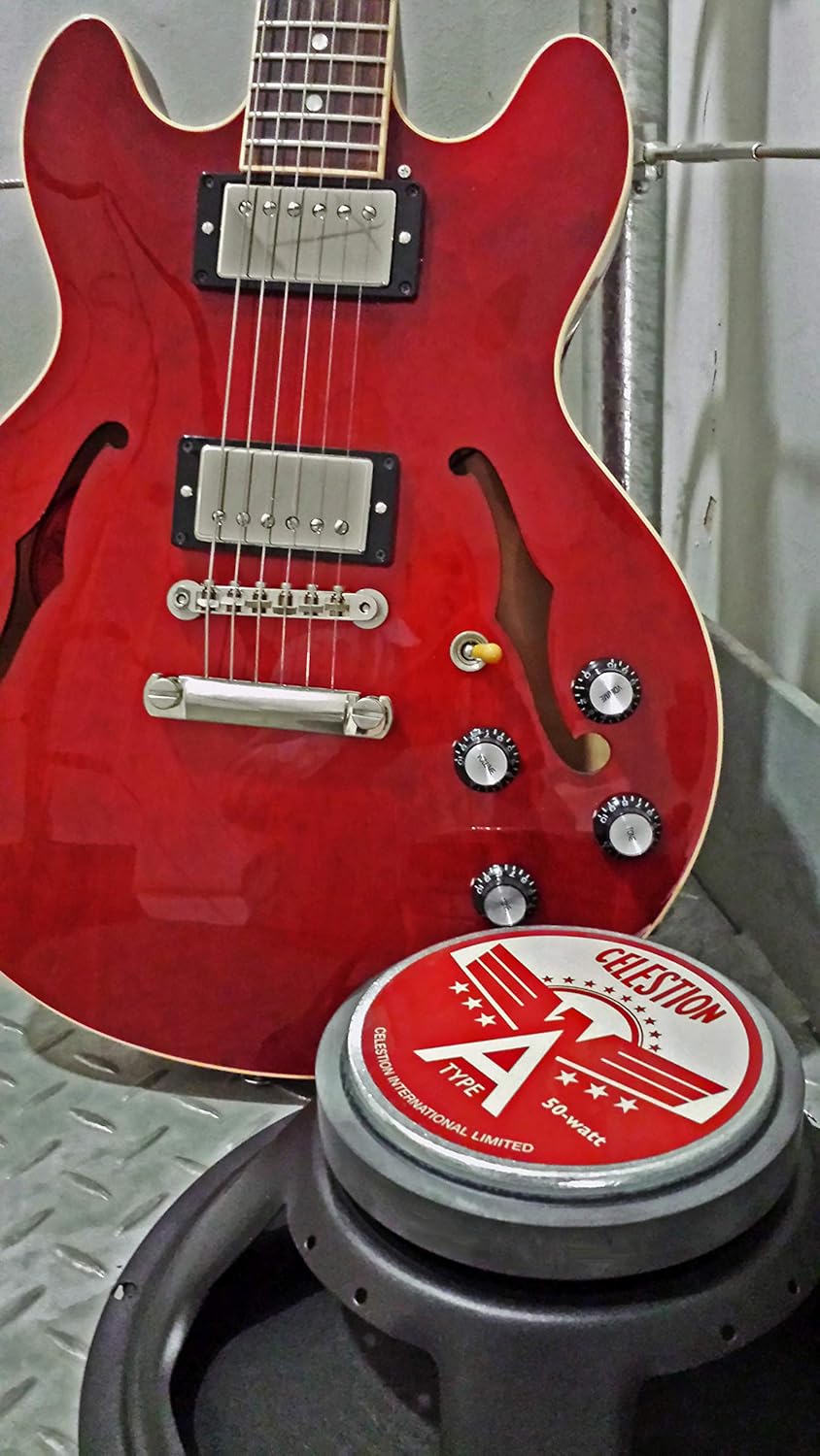 CELESTION A-Type Guitar Speaker (T5925) Black 12