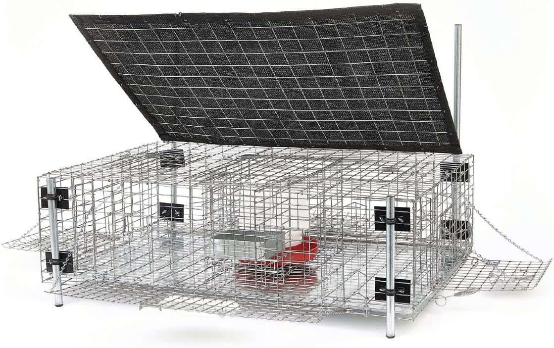 Bird B Gone Large Pigeon Trap for Slanted Surfaces - Humane Pigeon Trap Cage with Adjustable Legs, 6 One-Way Doors, Food & Water Containers - Live Bird Trap for Roofs & Angled Areas - 36