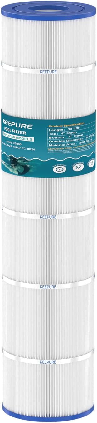 Jandy CS250 Pool Filter Cartridge Replacement for PJANCS250, C-8425, FC-0824, R0462500, 17-175-3630 Filter Cartridge, 250 Sq.ft, 1 Pack